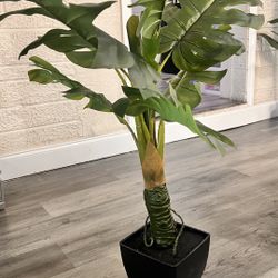 Artificial Plant 