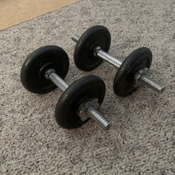 15LB Dumbbells 