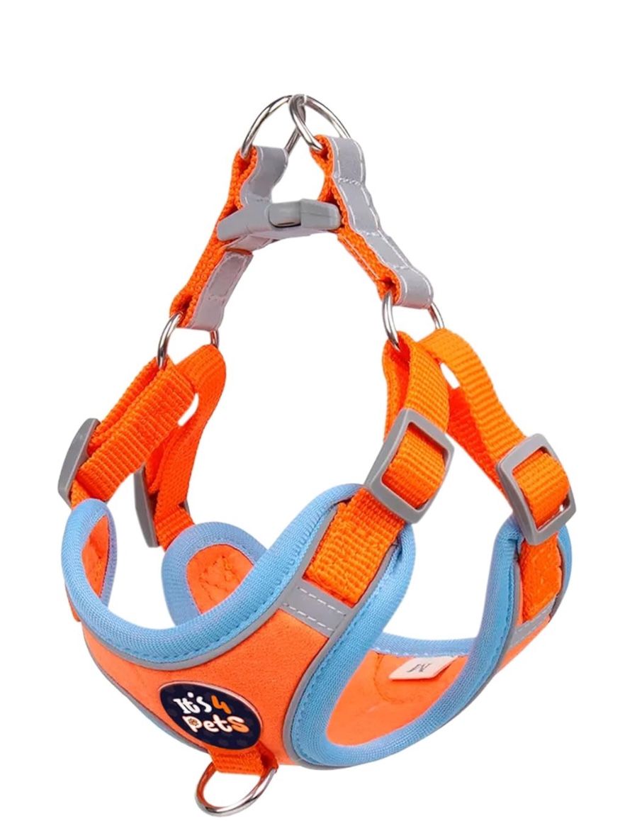 It's 4 Pets - Breathable Dog Harness and Leash Set | Adjustable Straps | Reflective Stitching | Tag Holder | 1.5 Meter Leash, Blue and Orange, Small S