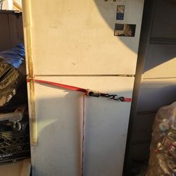 Free Working Fridge