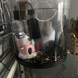 3 Gallon Fish Tank 