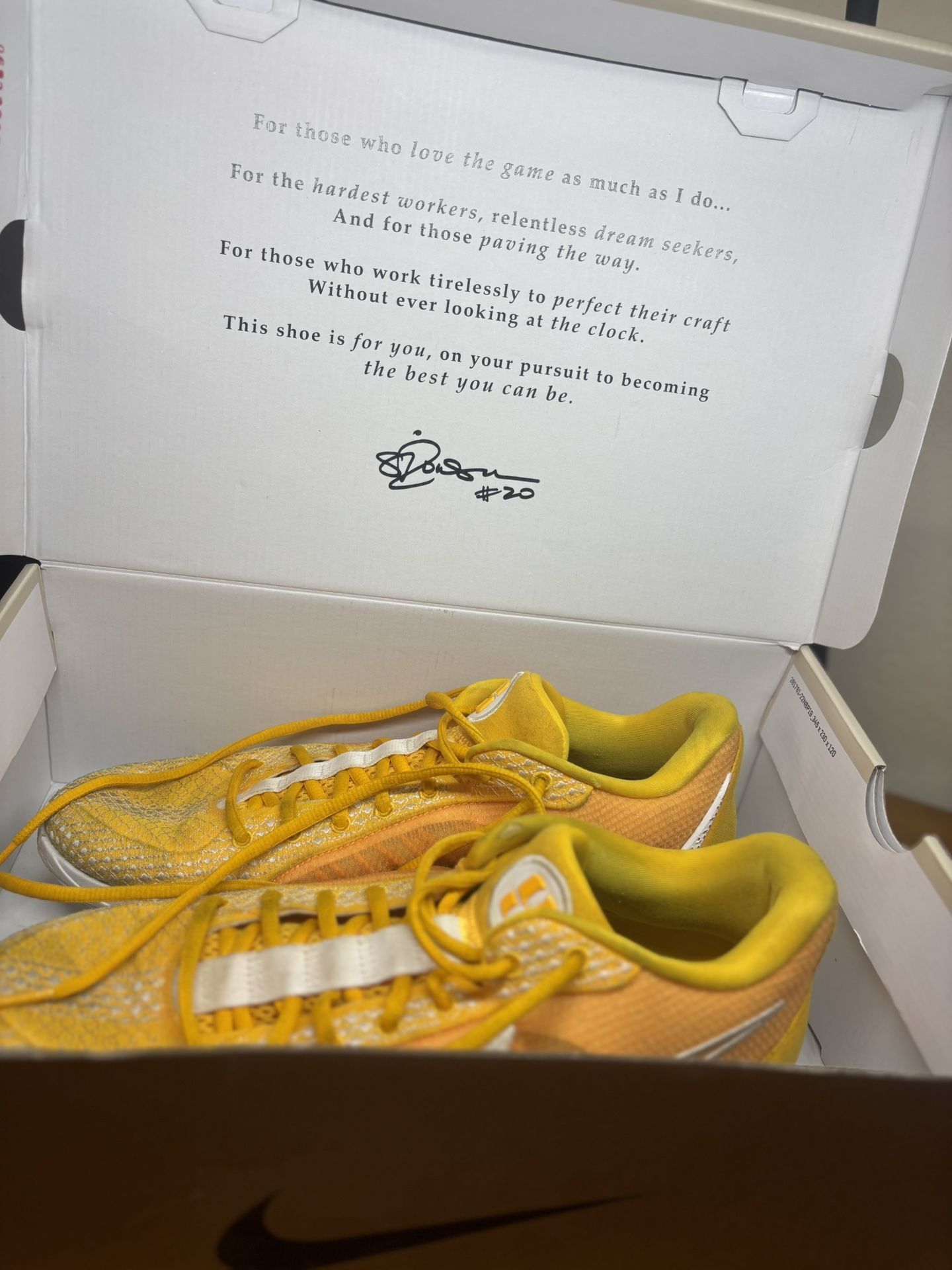 Nike Sabrina 1 TB 