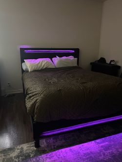 Queen Black Bed Frame with LED Lights