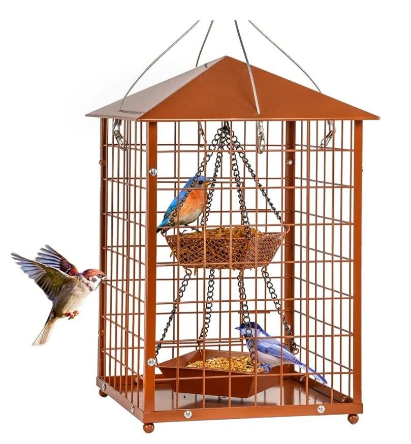 Huge Bird 🐦 Feeder