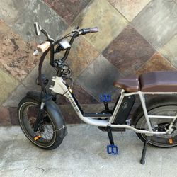 RAD Power Electric Bike