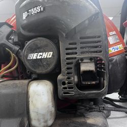 Echo Blower 