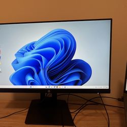 Hp Monitor