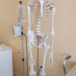 Skeleton.