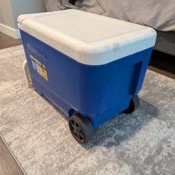 Ice Cooler (Igloo)