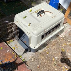 Medium Size Dog/Para Perros Chiquitos 