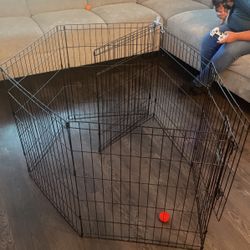 dog crate