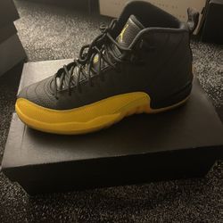 Jordan 12s