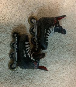 Roller Blades 