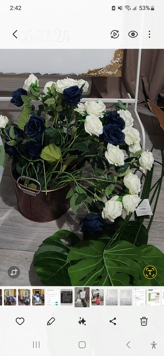 Long Stemmed White And Navy Blue Roses