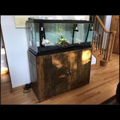 4 month brand new 75g aquarium setup. $500 standard setup. Accessories and stand extra. No fish.