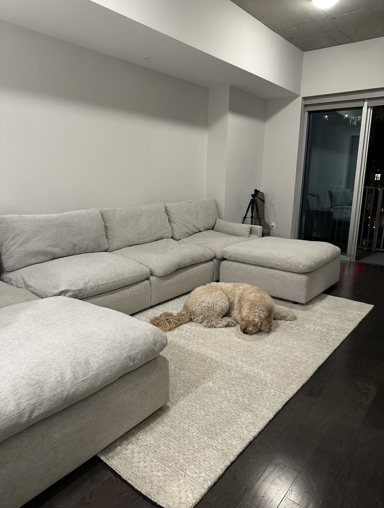 Large Couch 