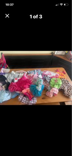 New dog clothes