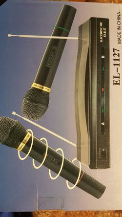 Wireless microphone professional