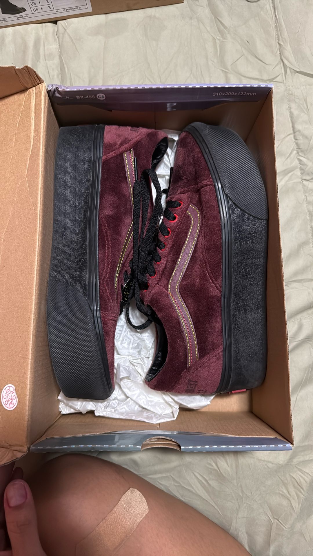 Disney 100 Vans
