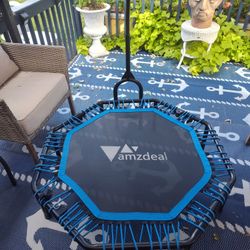 Fitness Trampoline 