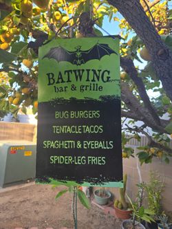Hanging Haloween decor