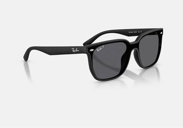 RayBand Glasses RB4392D