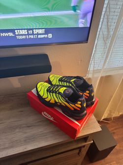 Nike Air Max Plus Sneakers🔥