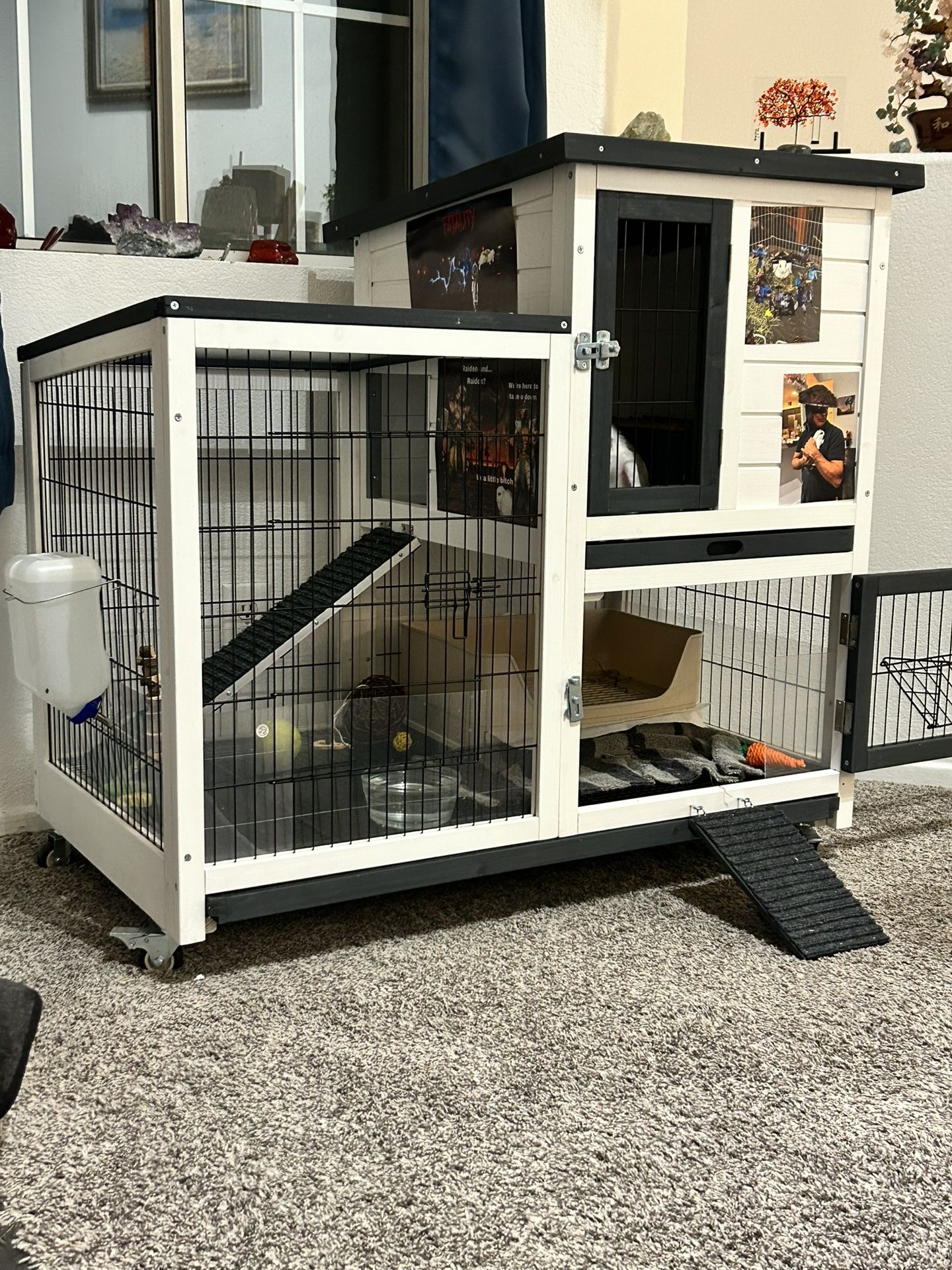 Rabbit cage/ Mansion w Free rare Blue eyed Rabbits