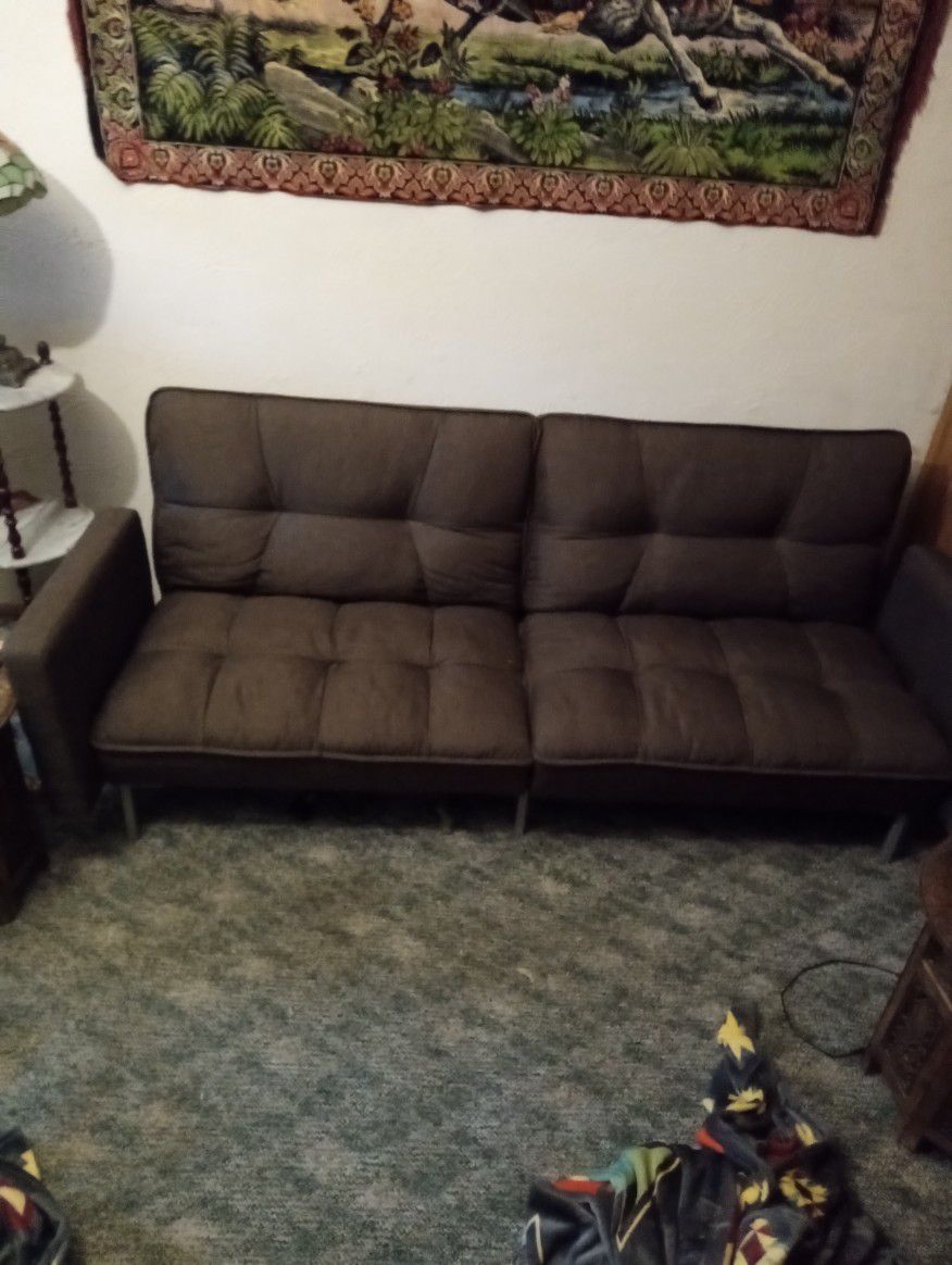 Couch/Fanton Bed