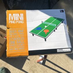 Mini Ping-Pong Table