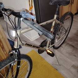 Free spirit Bicycle -vintage