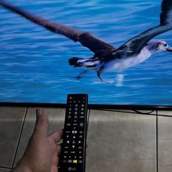 Tv- LG 65UV340C 65-Inch 4K UHD TV Commercial TV- Used good condition 