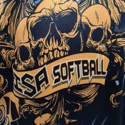 Softball Jersey Shirt Size XL 