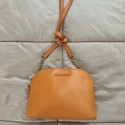 Steve Madden Purse