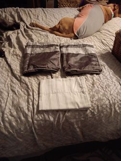 Pillow/Cases