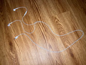 Apple EarPods for iPad