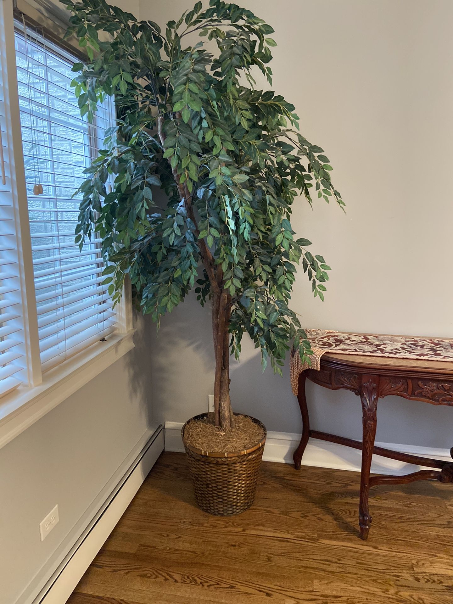 Faux ficus tree