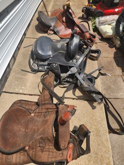 Horse Saddles - 1 English 2 Western 1 Beginner