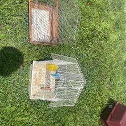 Bird Cages