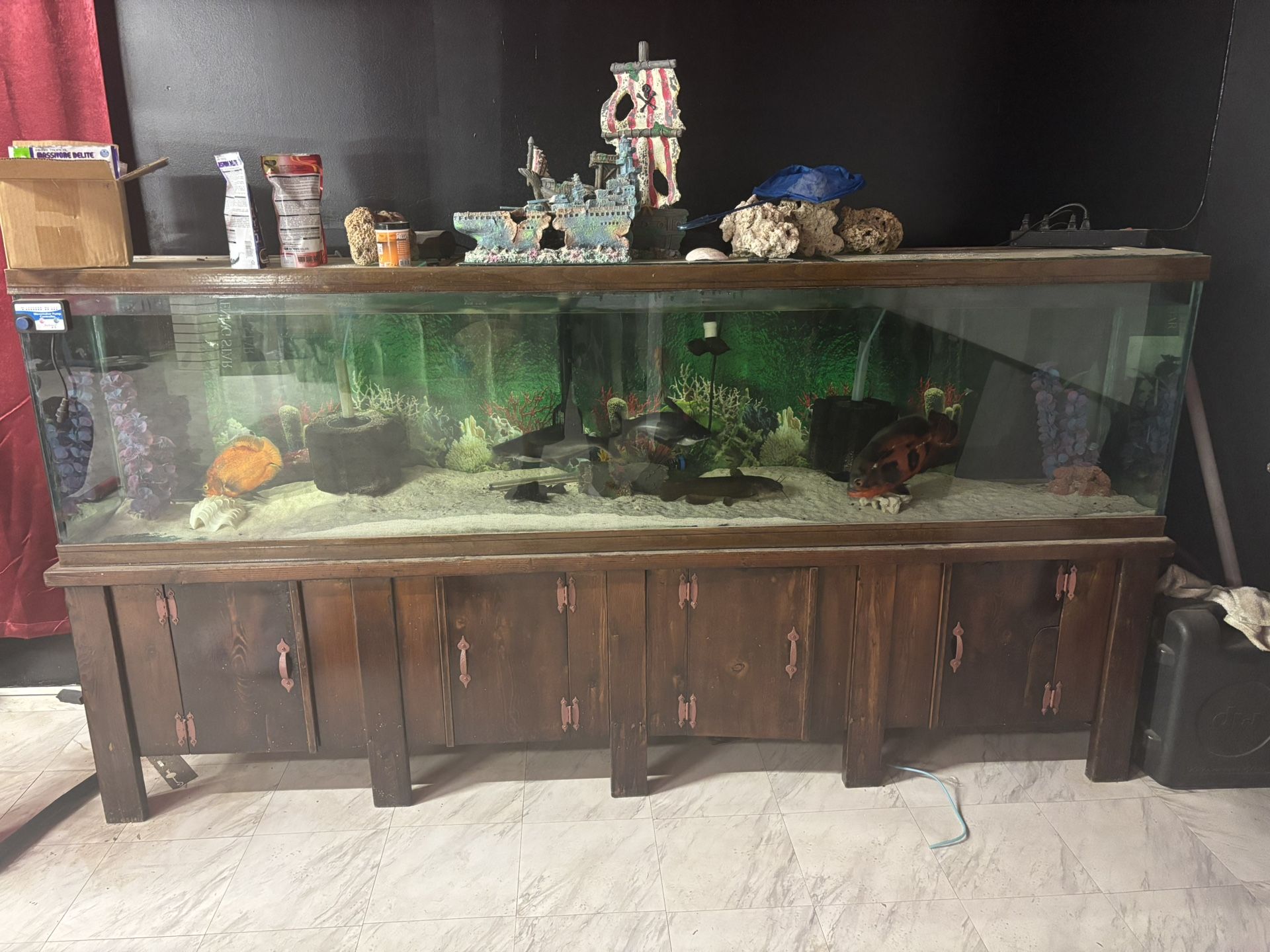 8’long Aquarium W Everything In It