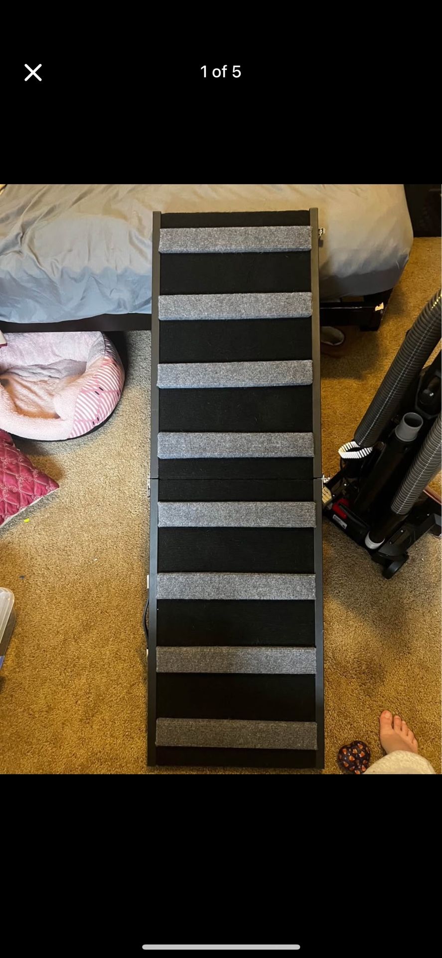 Dog Ramp