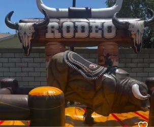 Mechanical bull beige 14x14