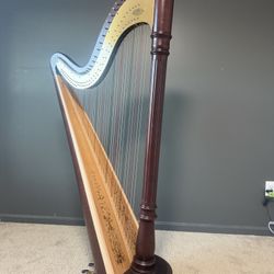 Pedal Harp Chicago 40
