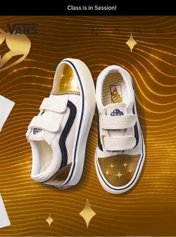K pop demon hunter vans shoes NEW