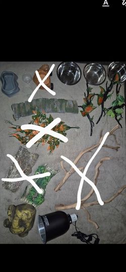 Reptile Accessories