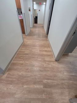 LVP Glue Down
