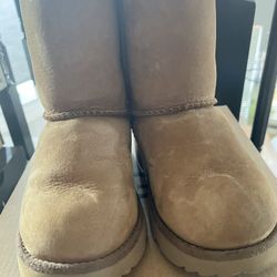 Toddler Uggs-Size 11