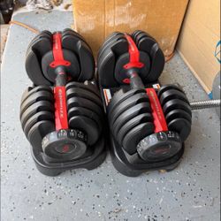 Bowflex Adjustable Dumbbells Select Tech 552