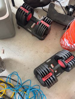 Fit Rx 55lbs each