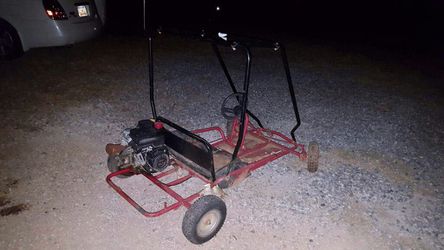 2 seater streaker cart with a 6hp Techumseh Motor